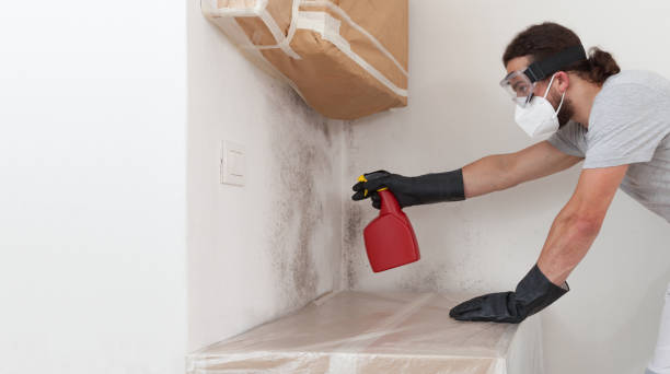 Professional Bathroom Mold Removal technician working in South Plainfield, NJ