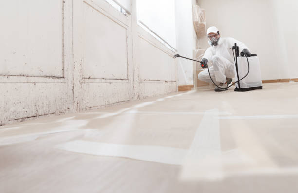 24/7 Emergency Bathroom Mold Removal experts in South Plainfield, NJ